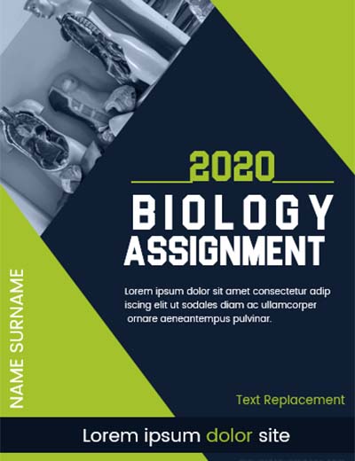 Ebook - Conoscere il laser a diodo - immagine 2